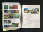 Pigment + Dye Garden - Garden Planning Notebook by Kate Stewart