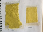 Pigment + Dye Gardens - Marigold Experiments 2 by Kate Stewart
