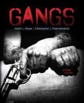 Gangs (2nd edition) by Mario L. Hesse and Christopher J. Przemieniecki