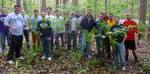 Friars' Society Pulling Invasive Jetbead and Planting Native Trees, Gordon Natural Area (2) by Gerard Hertel
