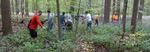 Friars' Society Pulling Invasive Jetbead and Planting Native Trees, Gordon Natural Area (3) by Gerard Hertel