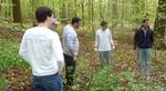 Friars' Society Pulling Invasive Jetbead and Planting Native Trees, Gordon Natural Area (5)