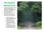 Road through the Gordon Natural Area (1) by Gerard Hertel