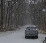 Winter in the Gordon Natural Area (2) by Gerard Hertel